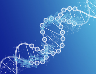 欧博·(allbet)官方网站